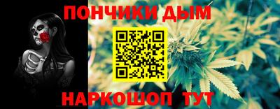крисы Ирбит