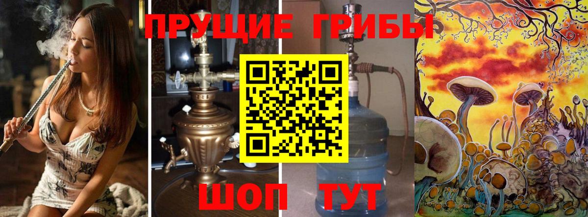 Галлюциногенные грибы Psilocybine cubensis  Галлюциногенные грибы Psilocybine cubensis  Вход с VPN  Дагестанские Огни 